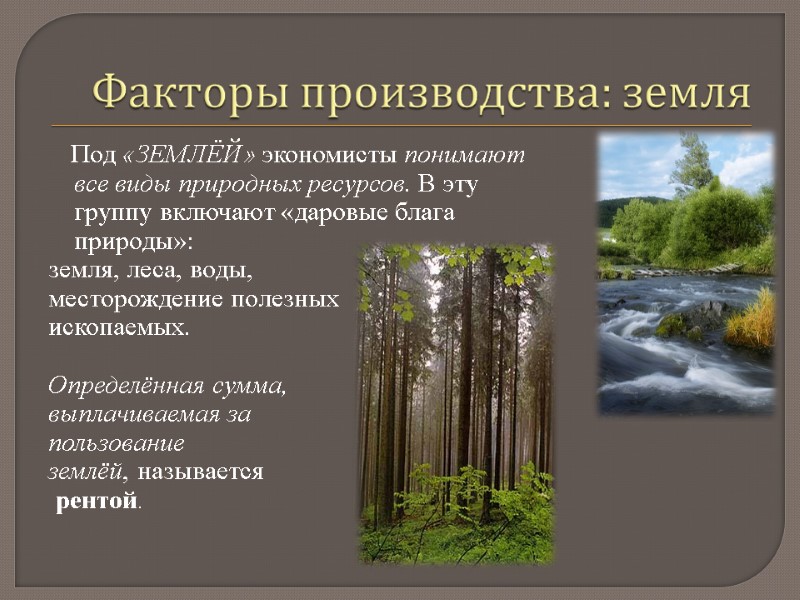 Под «ЗЕМЛЁЙ» экономисты понимают все виды природных ресурсов. В эту группу включают «даровые блага